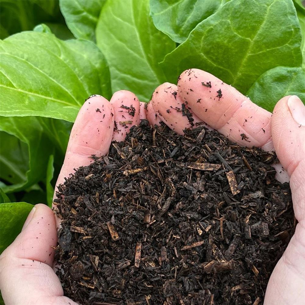 Bài viết ủ phân compost 1
